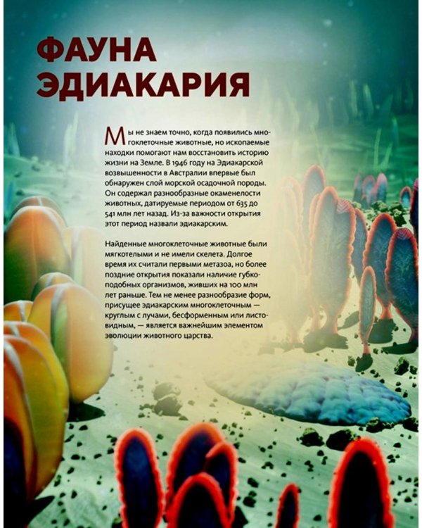 Огромная энциклопедия животных мира