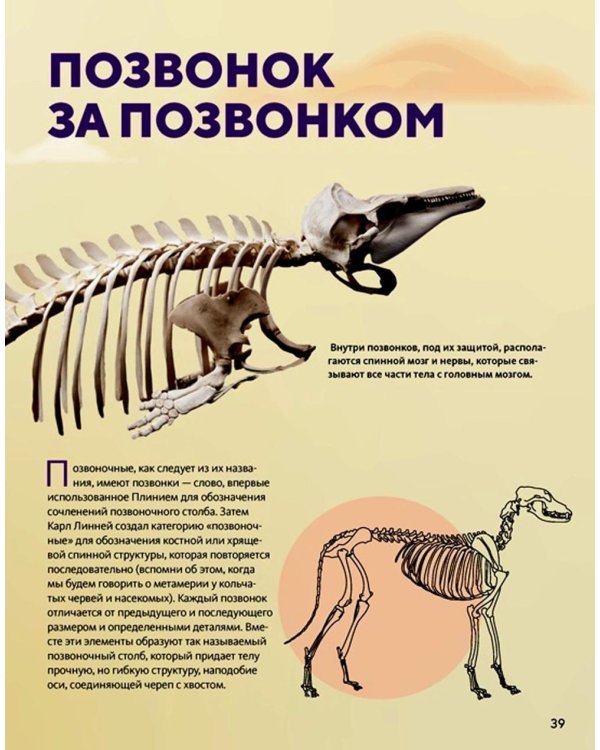 Огромная энциклопедия животных мира