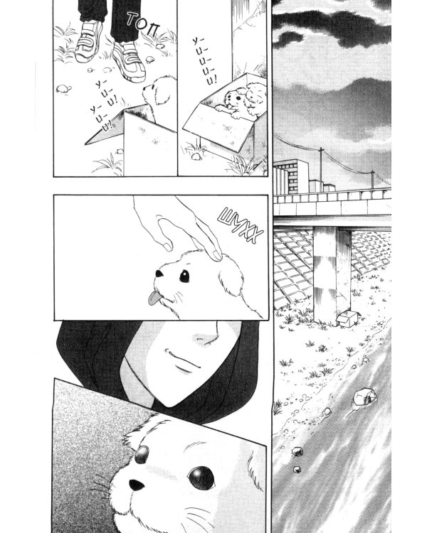 Созвездие воображаемых зверей. Т. 4