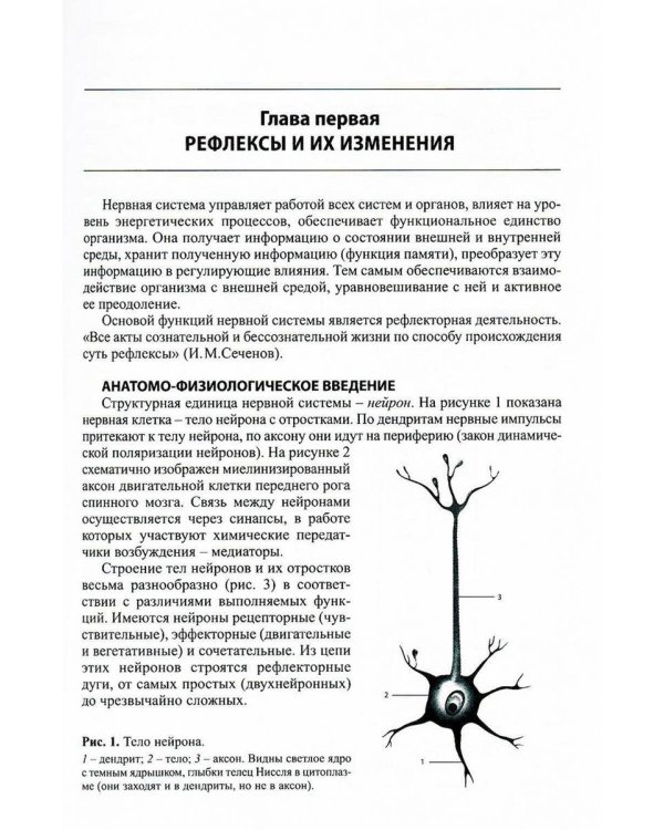 Топическая диагностика заболеваний нервной системы. 23-е изд