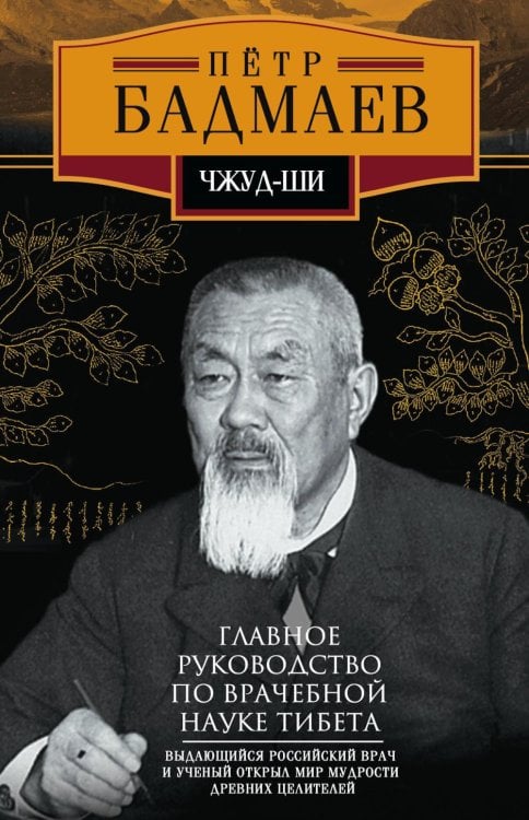 Чжуд-ши. Главное руководство по врачебной науке Тибета Чжуд-ши. Главное руководство по врачебной науке Тибета