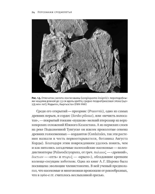 Дополнительное изображение книги «Как полетели динозавры: ящеры-квадрокоптеры, обратные птицы и их потомки»