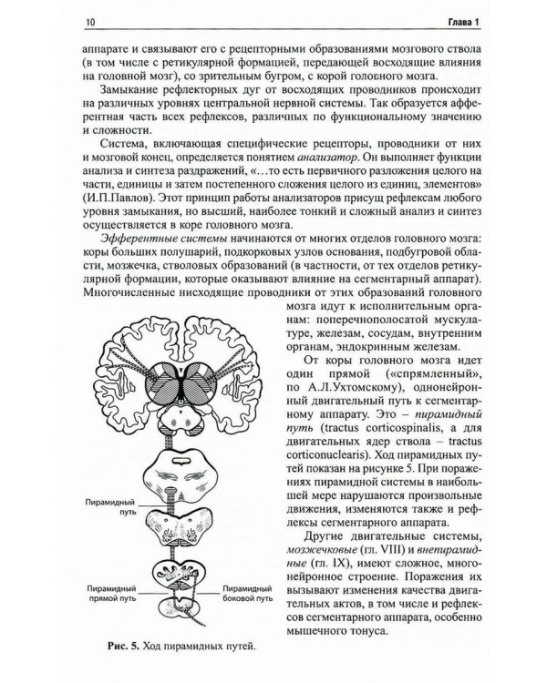 Топическая диагностика заболеваний нервной системы. 23-е изд