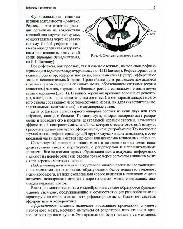 Топическая диагностика заболеваний нервной системы. 23-е изд