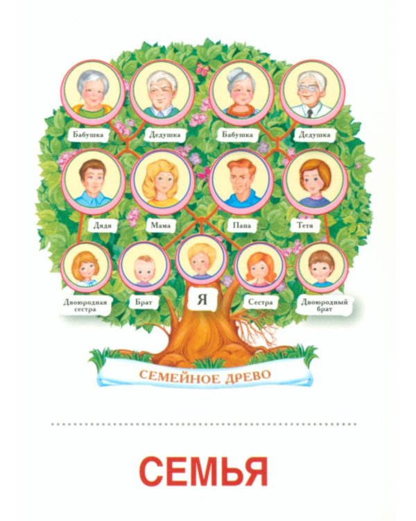 Семья (комплект: 8 демонстрационных картинок + 8 раздаточных карточек)