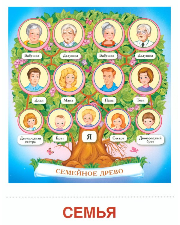 Семья (комплект: 8 демонстрационных картинок + 8 раздаточных карточек)