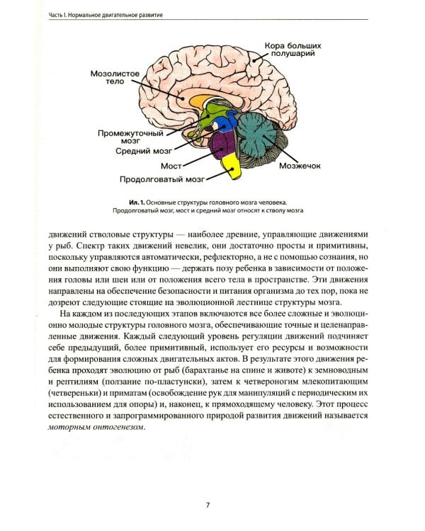 Не сидит, не ползет. Что делать?: рекомендации для специалистов и родителей малышей первого года жизни. 2-е изд