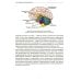 Не сидит, не ползет. Что делать?: рекомендации для специалистов и родителей малышей первого года жизни. 2-е изд