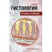 Гистология в схемах и таблицах: Учебное пособие