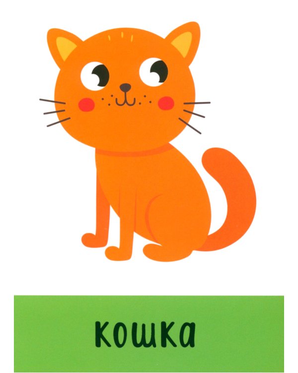 Развивающие карточки. Первые слова. 1+