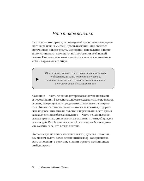 Дополнительное изображение книги «Дневник Тени: Разбираемся с вытесненными эмоциями, страхами и внутренним сопротивлением»