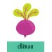 Развивающие карточки. Первые слова. 1+