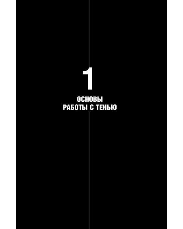 Дополнительное изображение книги «Дневник Тени: Разбираемся с вытесненными эмоциями, страхами и внутренним сопротивлением»