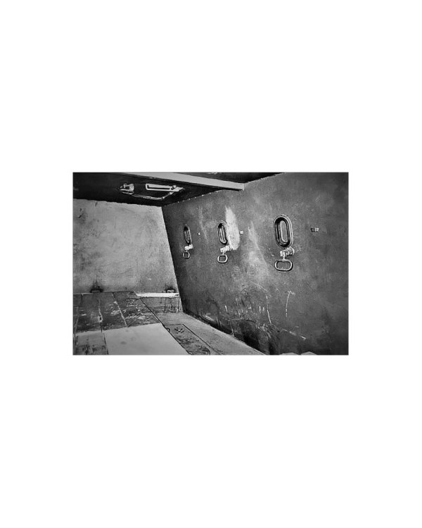 Приказано влюбить