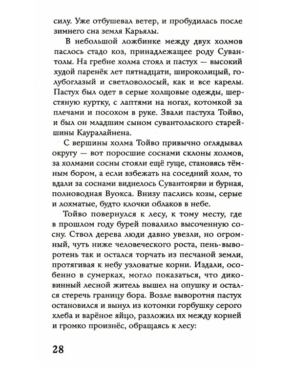 Осколки Сампо: роман-фэнтези