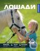 Обложка книги «Лошади» — Браун Гудрун, ISBN 9785389308138