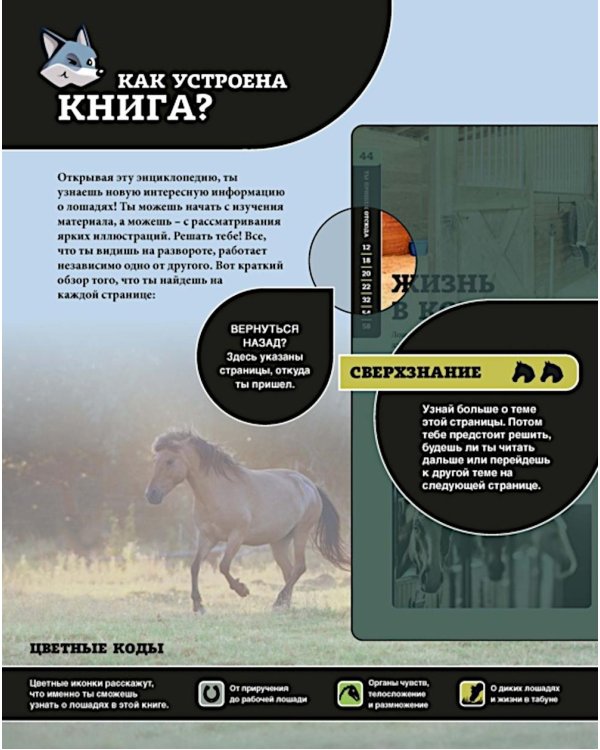 Дополнительное изображение книги «Лошади»