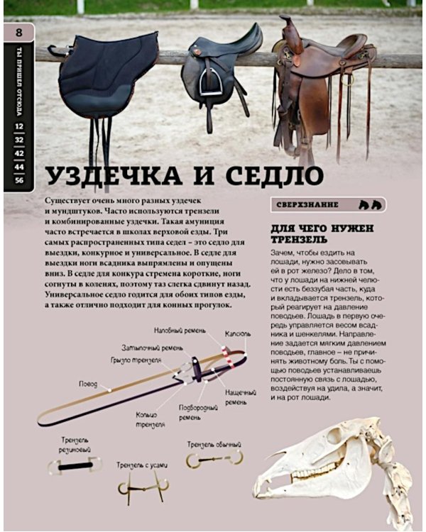 Дополнительное изображение книги «Лошади»