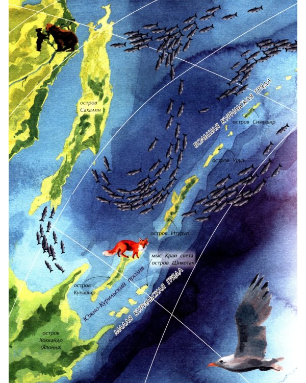 Курилы. Самый край российской земли. Вып. 258