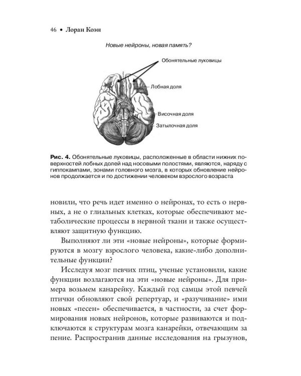 40 историй о мозге: Простые ответы на сложные вопросы