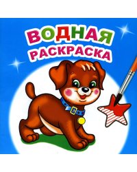 Водная раскраска. Милый щенок