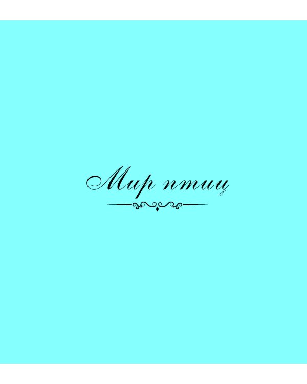 Чик и Чирик