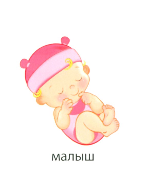 Запоминай английские слова FAMILY • СЕМЬЯ (комплект из 2-х наборов карточек)