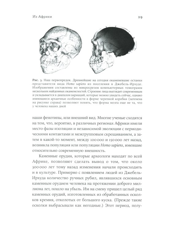 Мир до нас: Новый взгляд на происхождение человека
