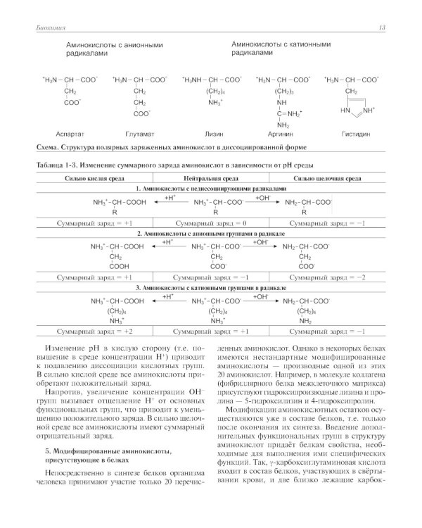Биохимия: Учебник. 5-е изд