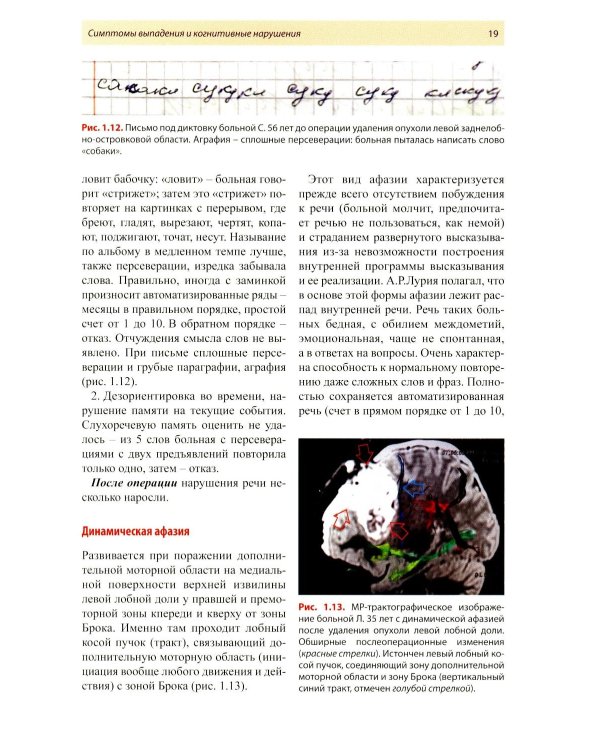 Нейропсихология в историях реальных больных
