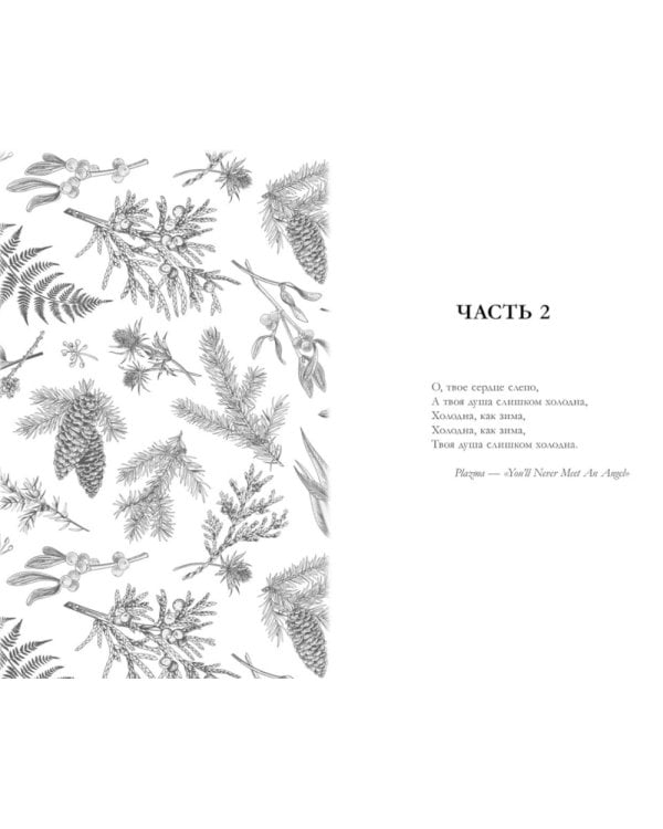 Сердце зимы