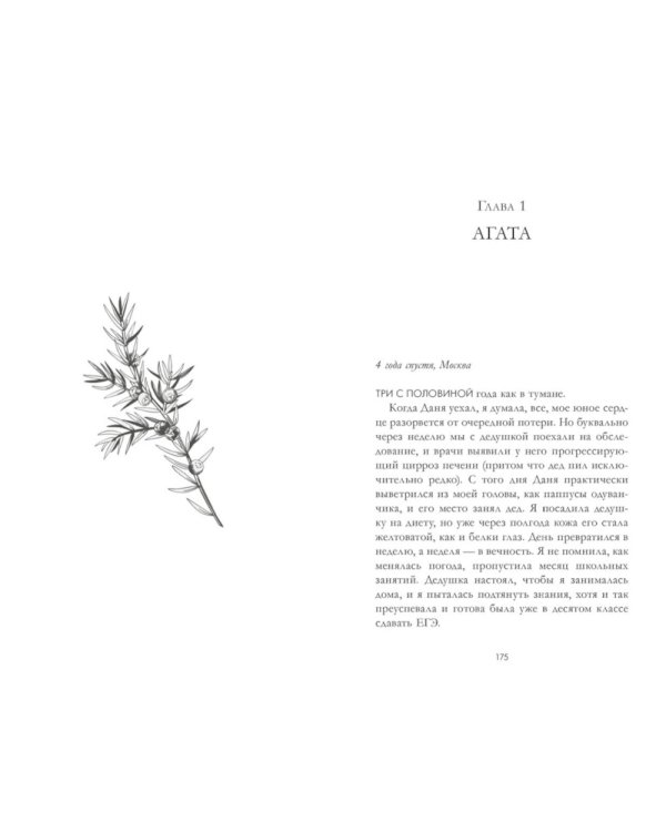 Сердце зимы