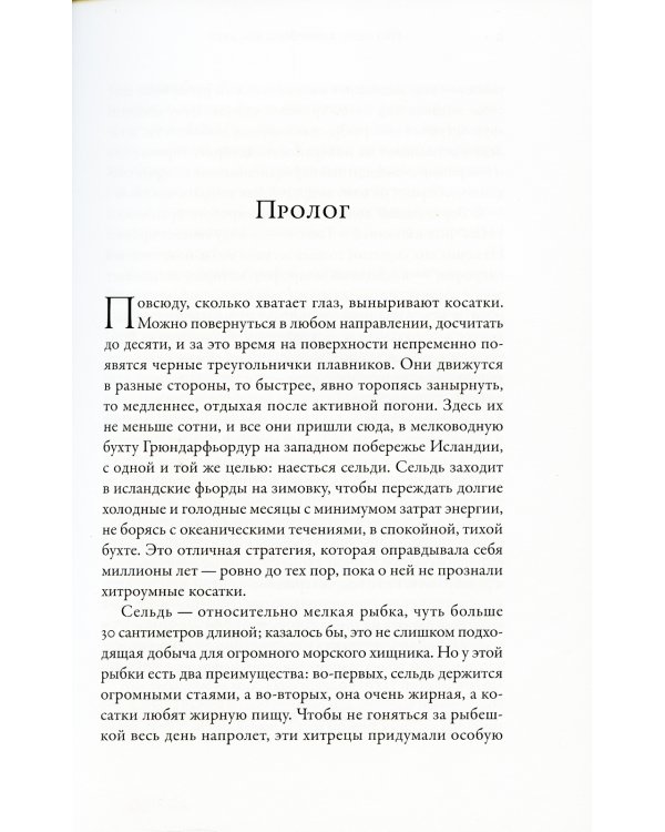 Облачно, возможны косатки
