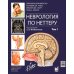 Неврология по Неттеру. В 3 т. Т. 1 Неврология по Неттеру. В 3 т. Т. 1