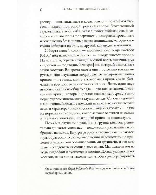 Облачно, возможны косатки