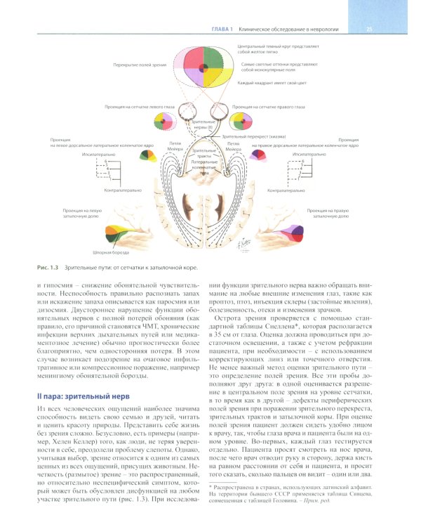 Неврология по Неттеру. В 3 т. Т. 1