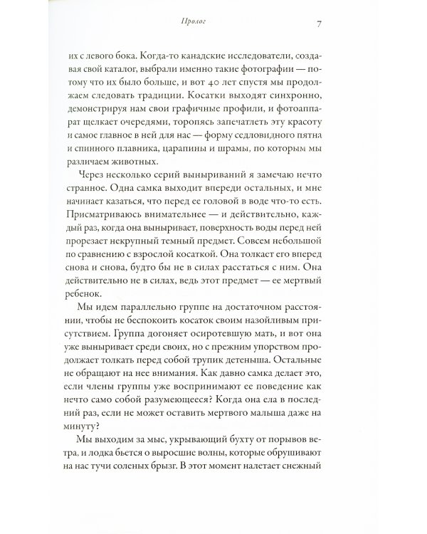 Облачно, возможны косатки