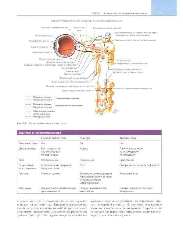 Неврология по Неттеру. В 3 т. Т. 1