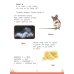 Энциклопедия дошкольника: 4-5 лет