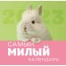Самый милый календарь. Календарь настенный на 2023 год (300х300 мм)