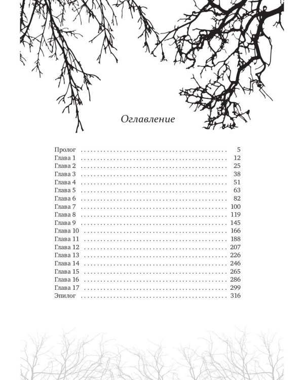 Хозяйка Проклятой Лавки, или Драконам вход воспрещен!