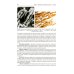 Дополнительное изображение книги «Pathological Anatomy = Патологическая анатомия: textbook. (книга на англ. яз)»