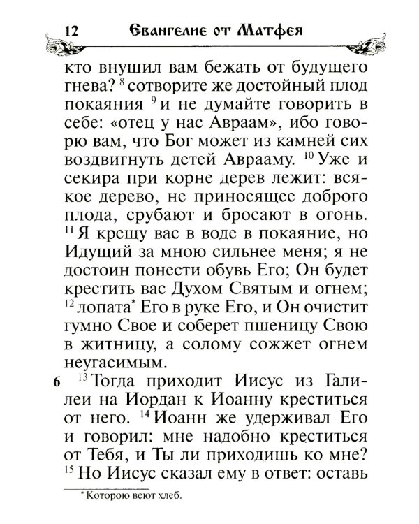 Святое Евангелие. (бордо)