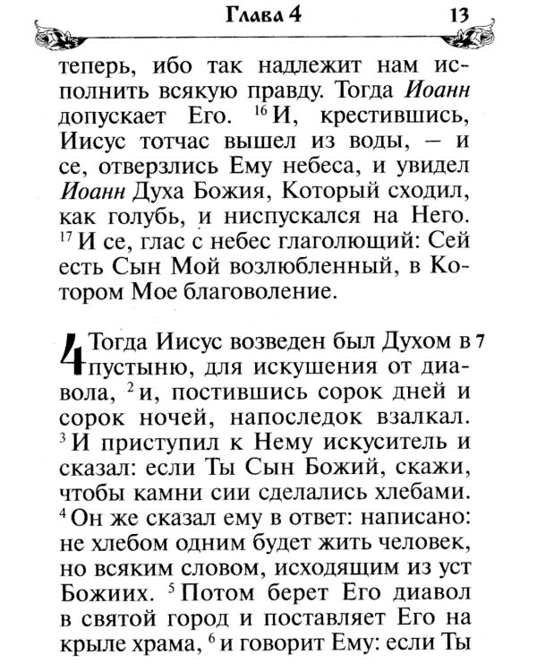 Святое Евангелие. (бордо)