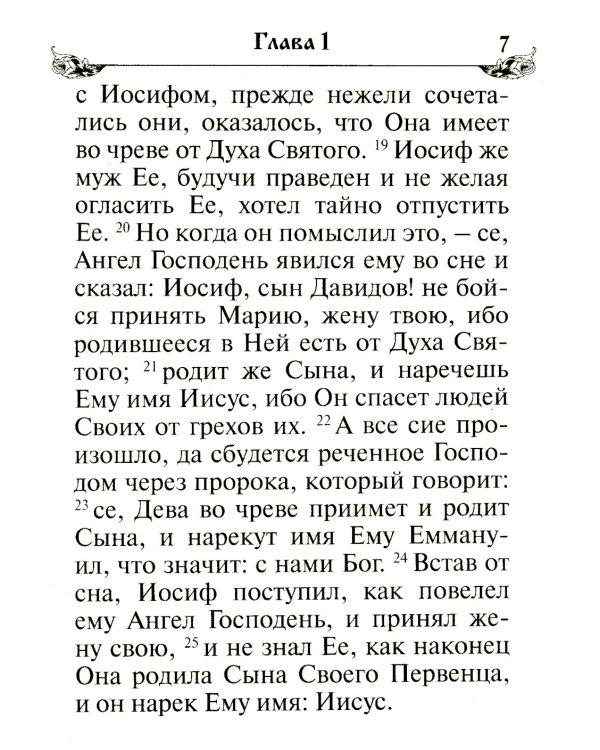 Святое Евангелие. (бордо)