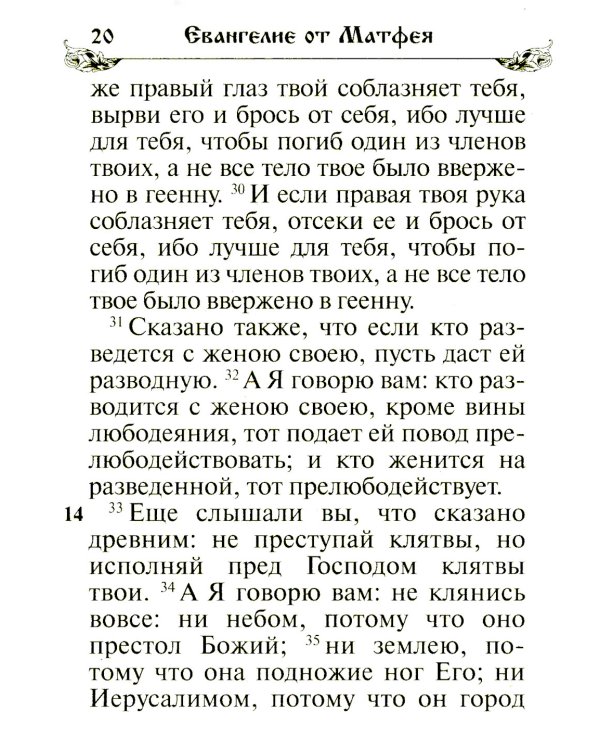 Святое Евангелие. (бордо)