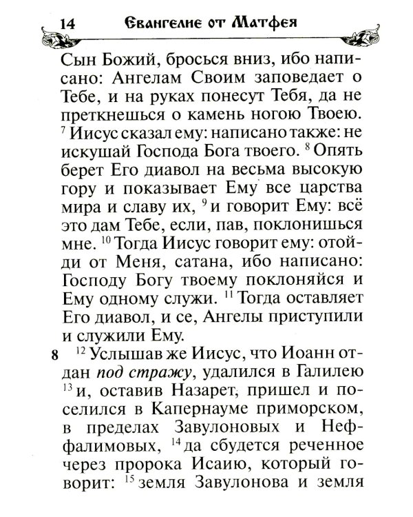 Святое Евангелие. (бордо)