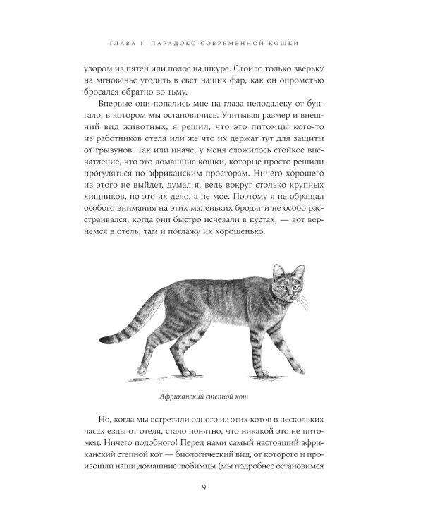 От саванны до дивана: Эволюционная история кошек