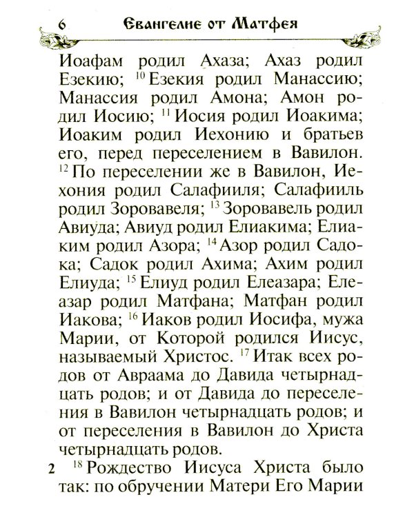 Святое Евангелие. (бордо)