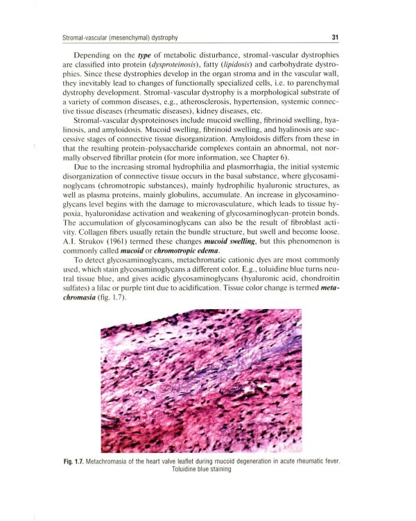Дополнительное изображение книги «Pathological Anatomy = Патологическая анатомия: textbook. (книга на англ. яз)»